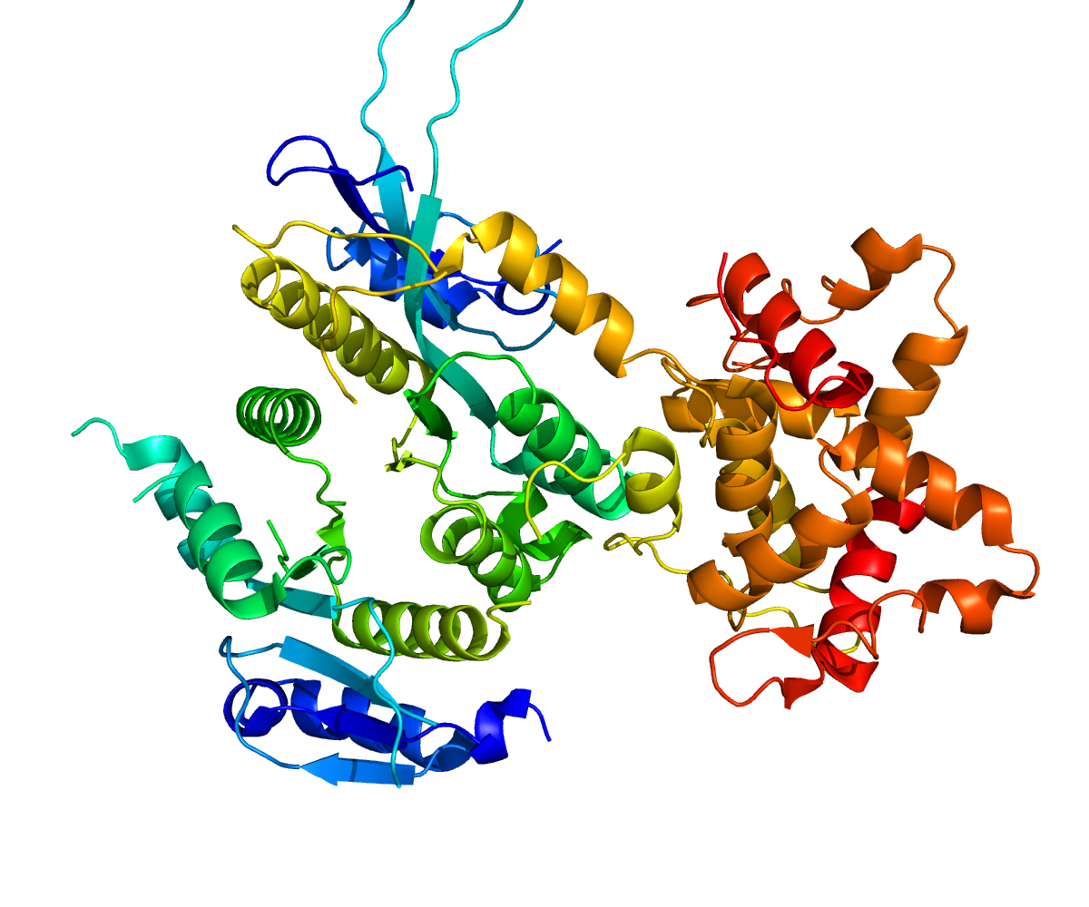 Структура белков. Ферменты без фона. Белок молекула. Ферменты на белом фоне. 1 ген 1 полипептид