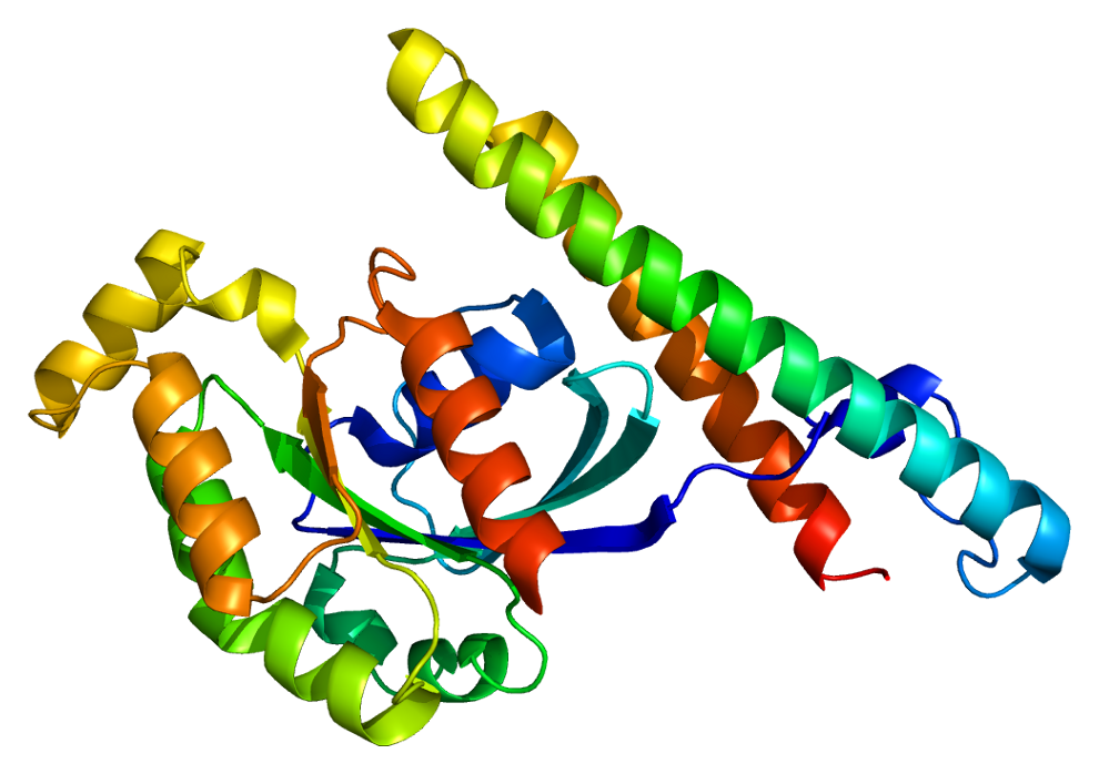 Protein Kinase N1 Wikipedia