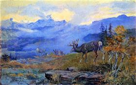 File:Russell - deer-grazing-1912.jpg