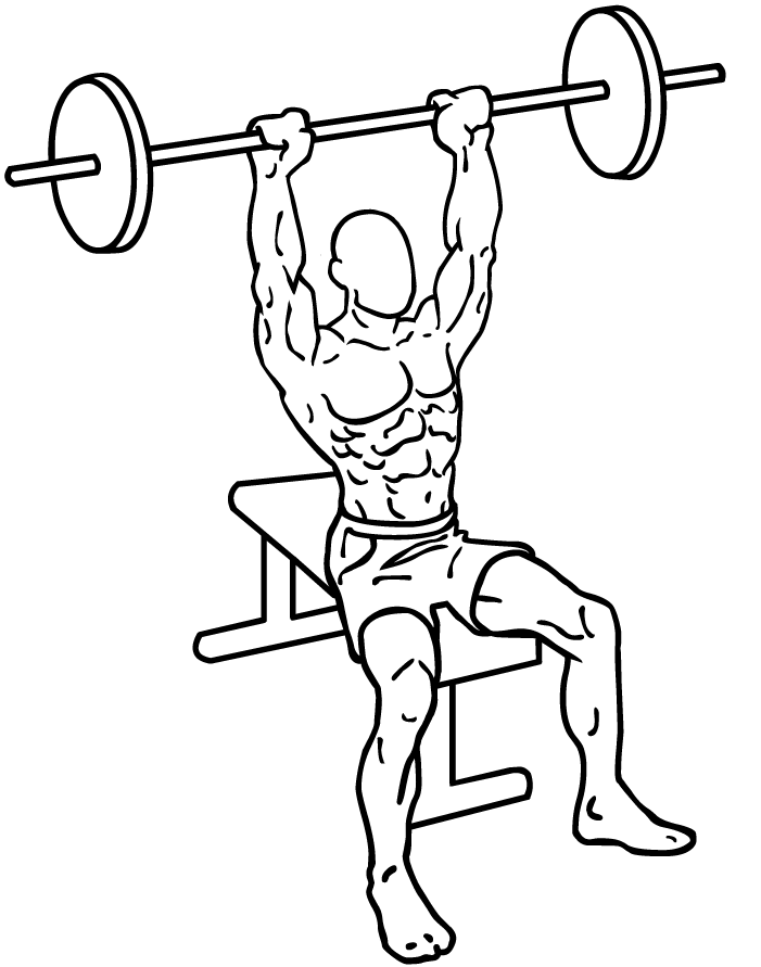 seated barbell press