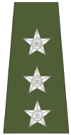 File:South African Army OF-2 (1994-2002).gif