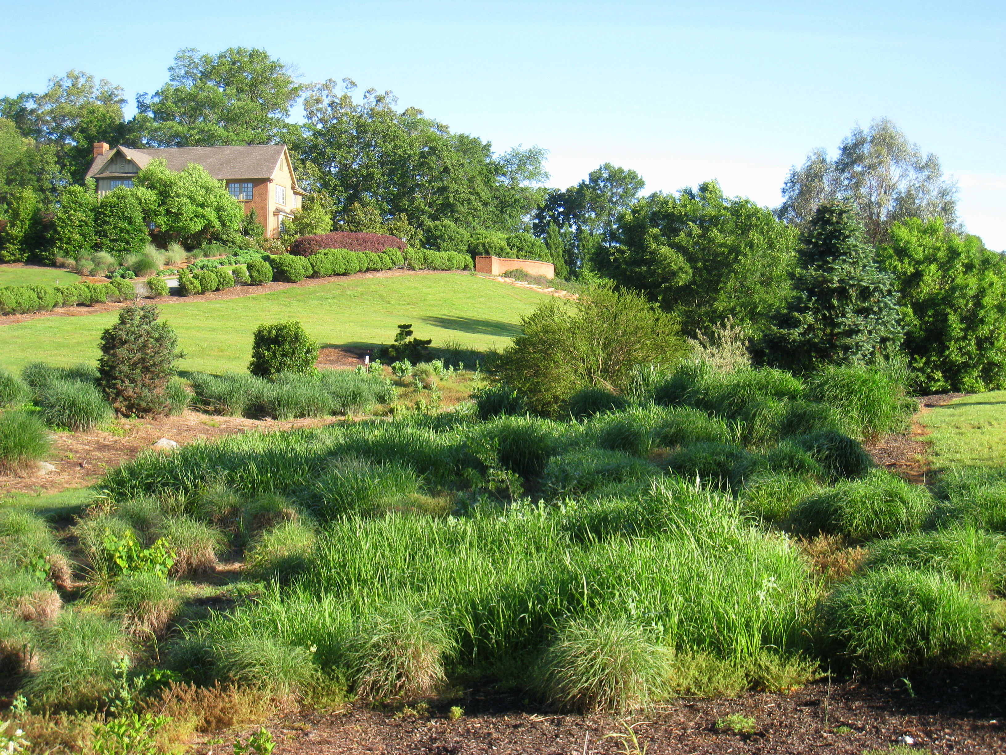 Photo of South Carolina Botanical Garden