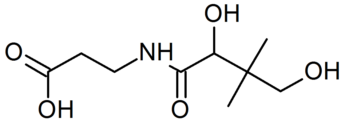 Pantothenic acid; Vitamin B 5