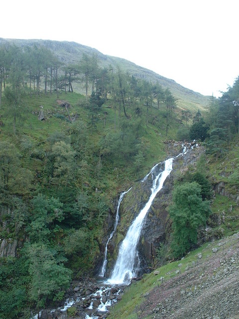 Taylor Gill Force