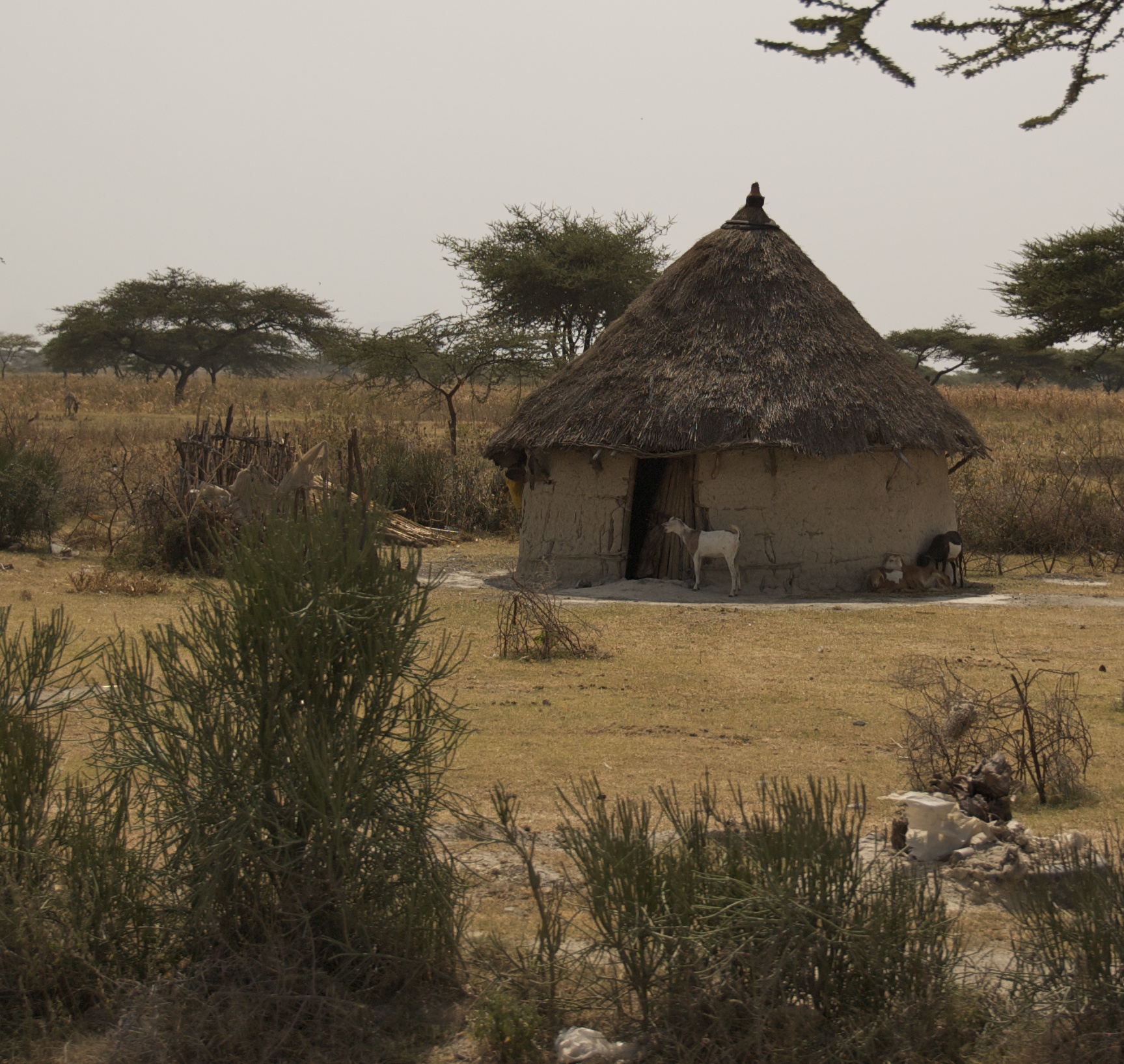 nigerian mud houses