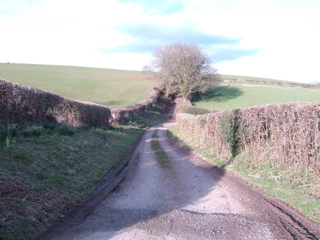 File:Track to Cefn-llyfos - geograph.org.uk - 350215.jpg