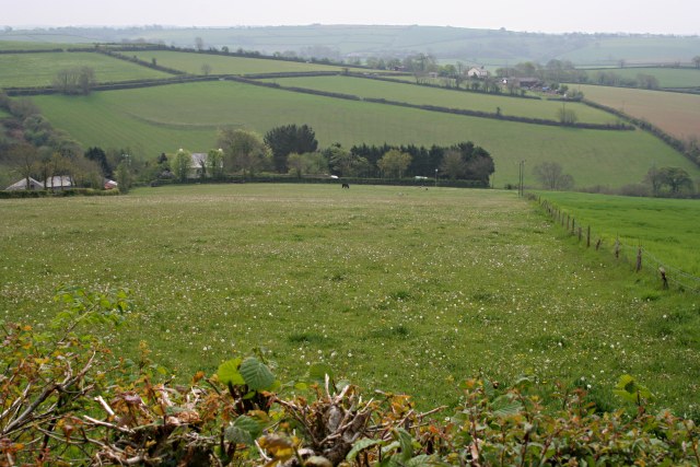 File:Valley by Burdown - geograph.org.uk - 416258.jpg