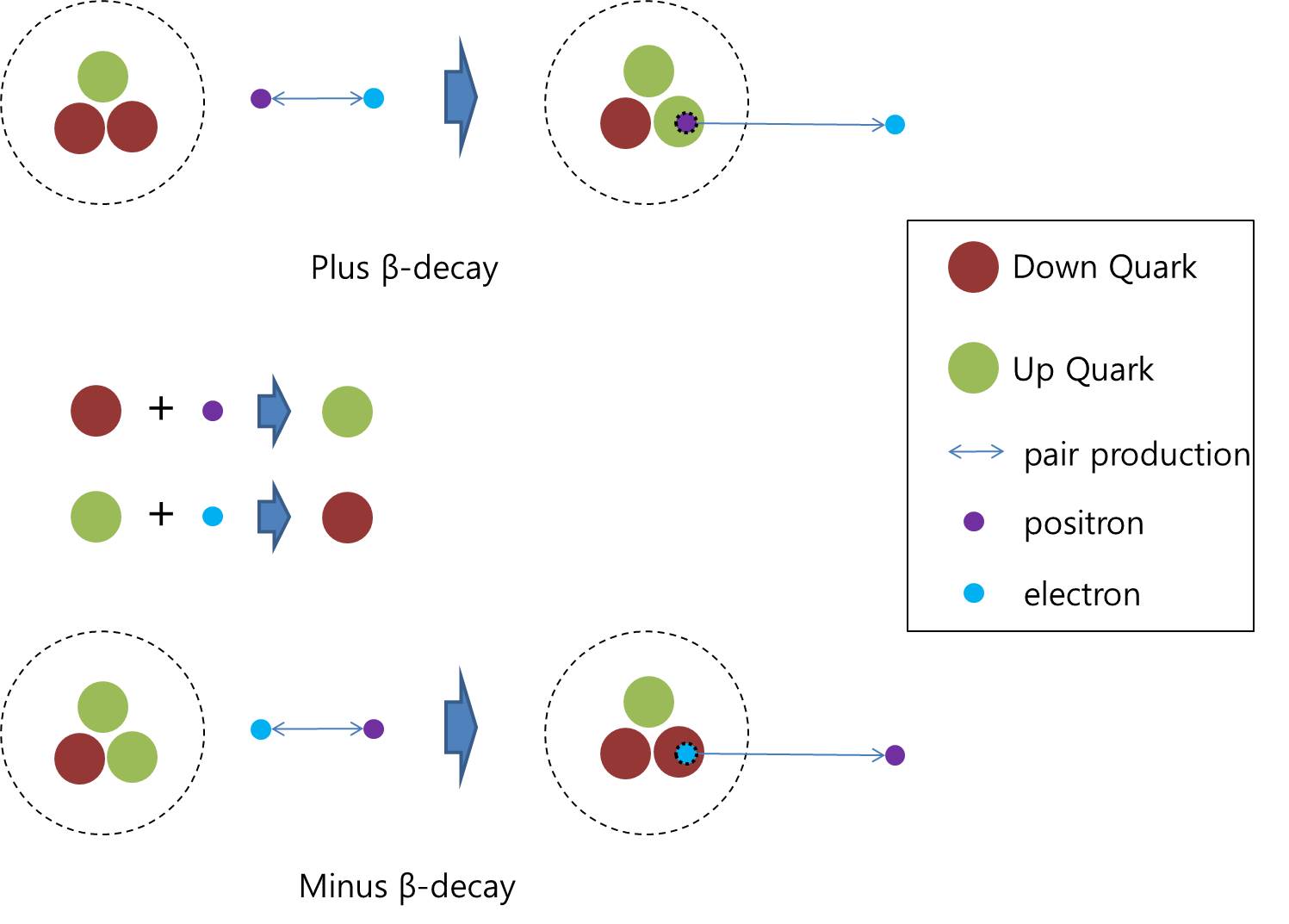 Weak interaction - Wikipedia