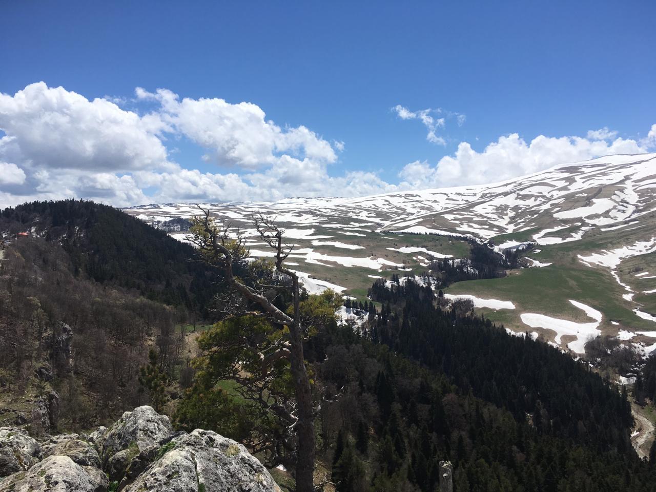 Адыгея здравница лагонаки фото