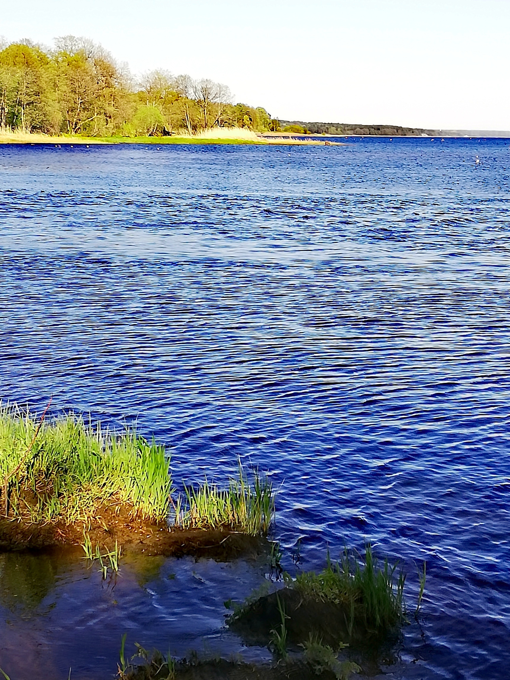 Томское море томск. Низовье реки это. Балтика река. Томское море.