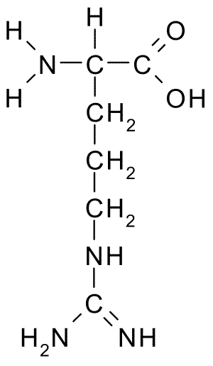 structure of arginine