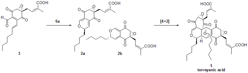 Biosynthesis of torreyanic acid.png