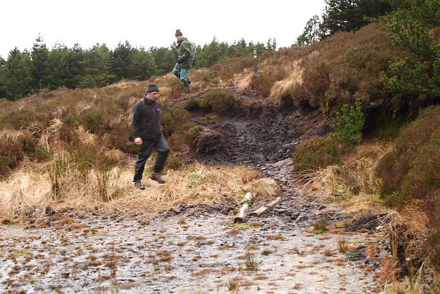 Boggy trail - geograph.org.uk - 727558