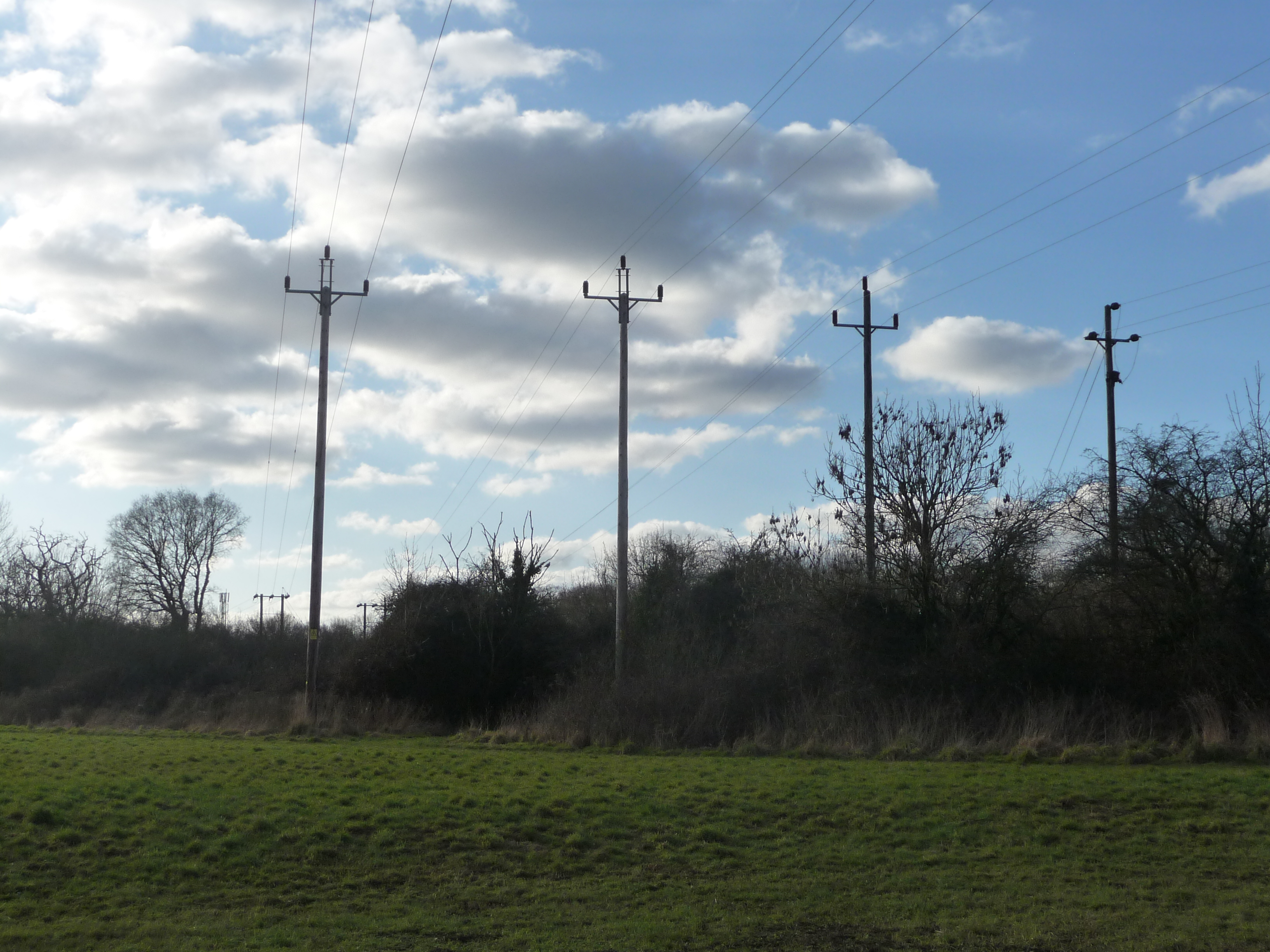 More poles. Telegraph Pole. Телеграф в поле.