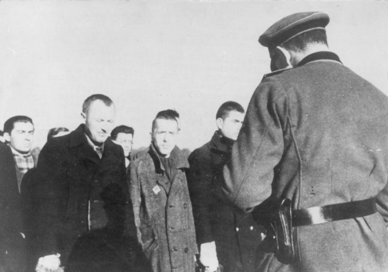 File:Bundesarchiv Bild 183-78612-0009, KZ Sachsenhausen, polnische Häftlinge bei Einlieferung.jpg