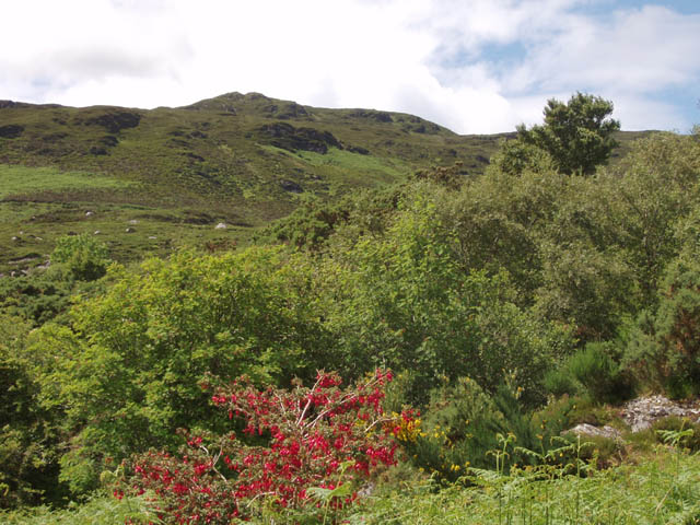 File:Farbreiga from Largan - geograph.org.uk - 486697.jpg