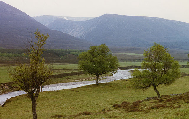 File:Field west of the River Feshie - geograph.org.uk - 891919.jpg