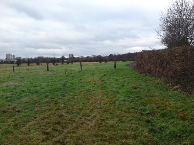 File:Footpath becomes a little lost - geograph.org.uk - 1640181.jpg