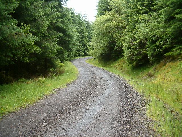 File:Forest Road - geograph.org.uk - 191543.jpg