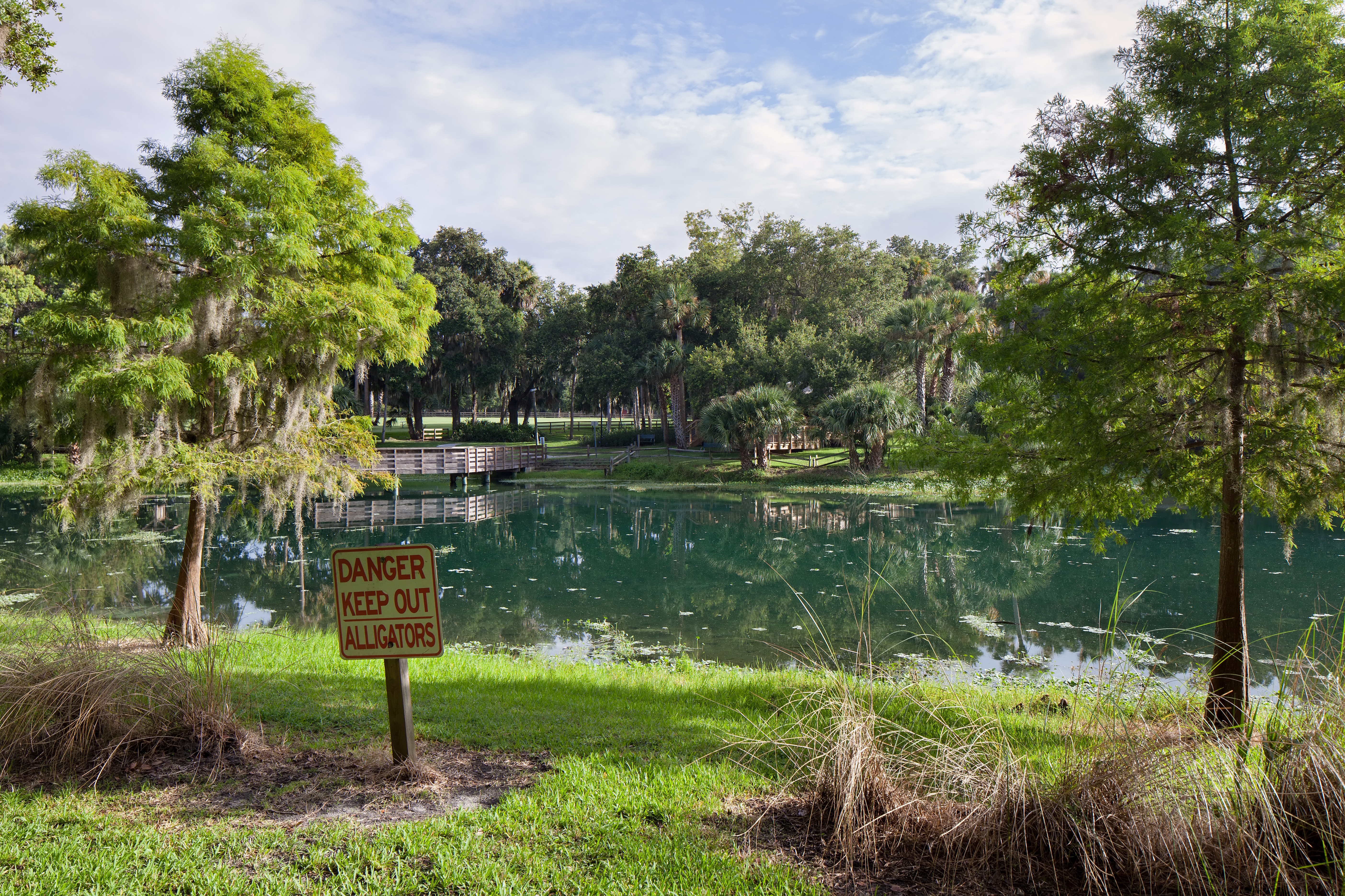 Gemini Springs Park 2013.07.23.08.07.11.jpg. 