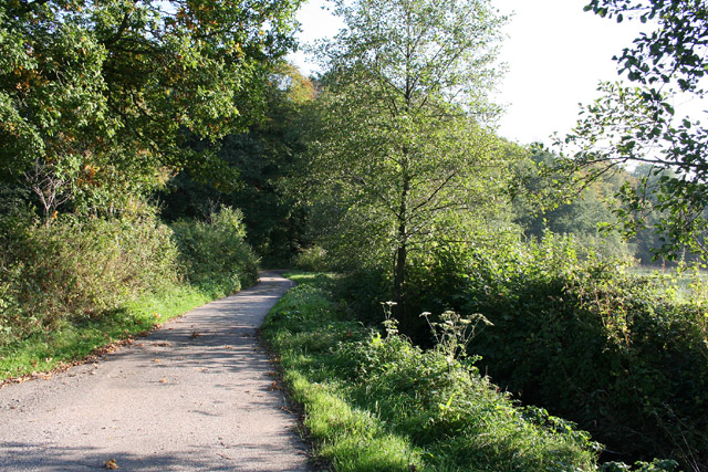 File:Hockworthy, lane in the Lowman valley - geograph.org.uk - 65739.jpg