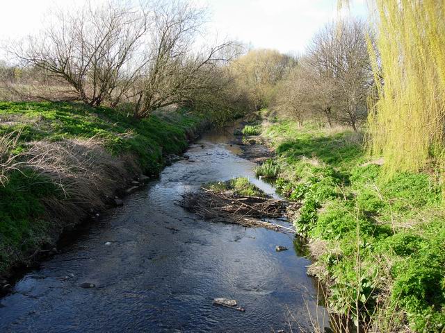 Hogsmill River - geograph.org.uk - 151421