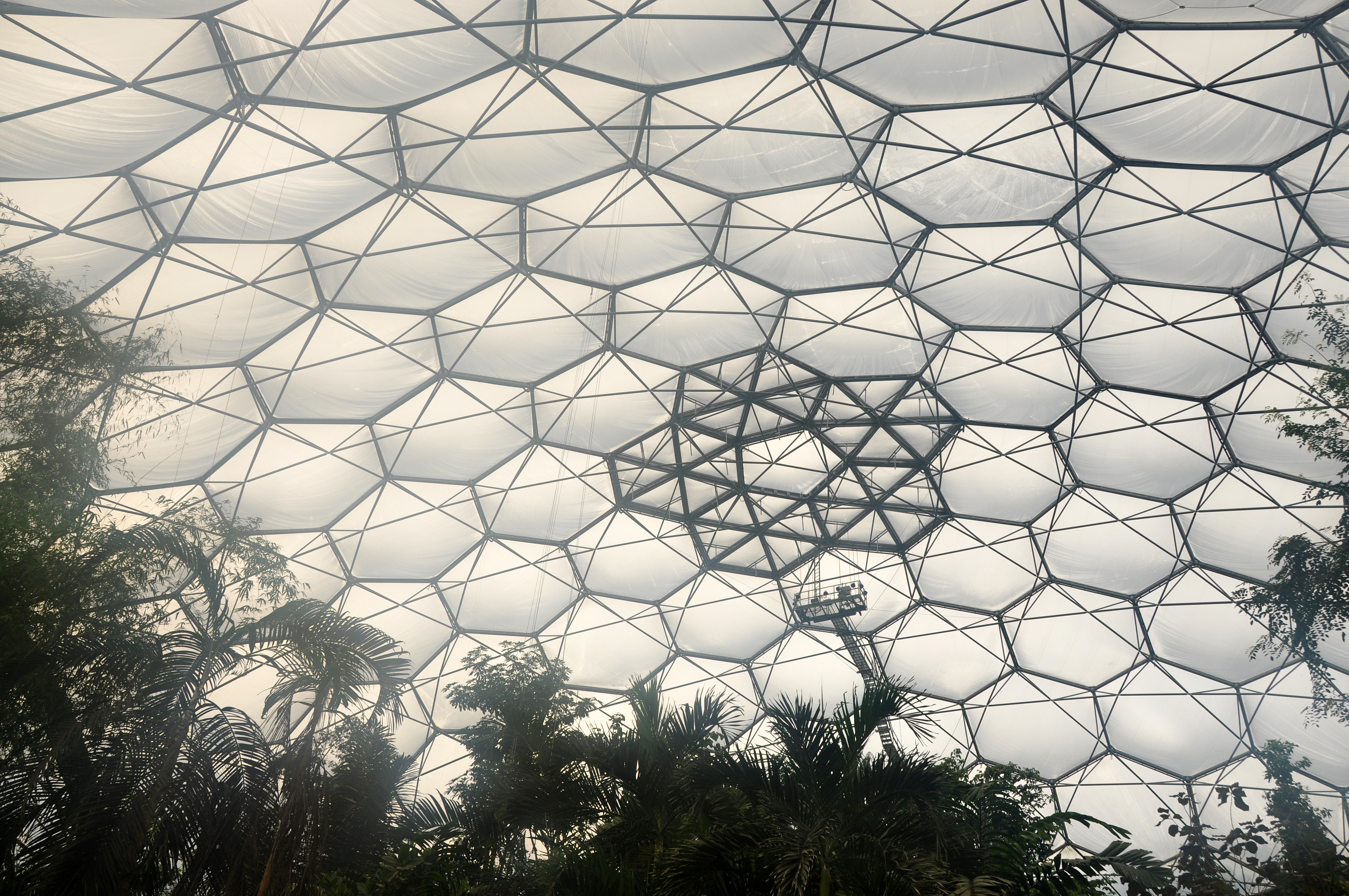 Iso biome. Николас Гримшоу архитектура. Eden Project Николас Гримшоу Архитектор. Николас Гримшоу Эдем сверху. Проект Эдем конструкция.