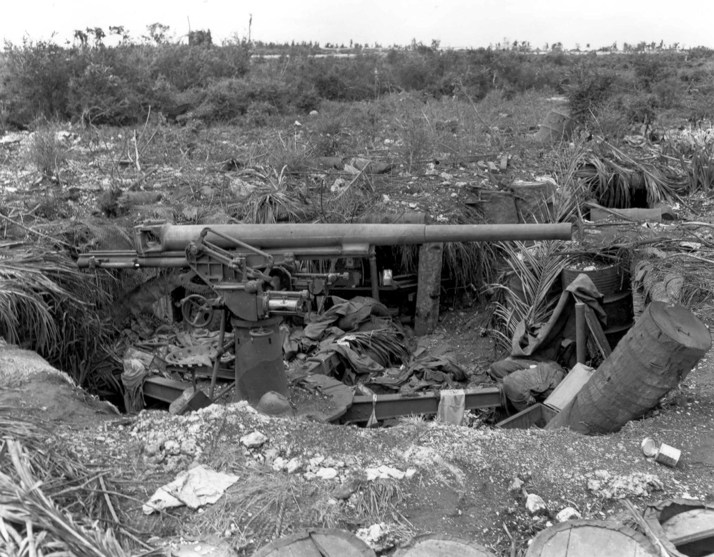 グアム島に遺棄された八八式7.5cm野戦高射砲、閉鎖機が外されている