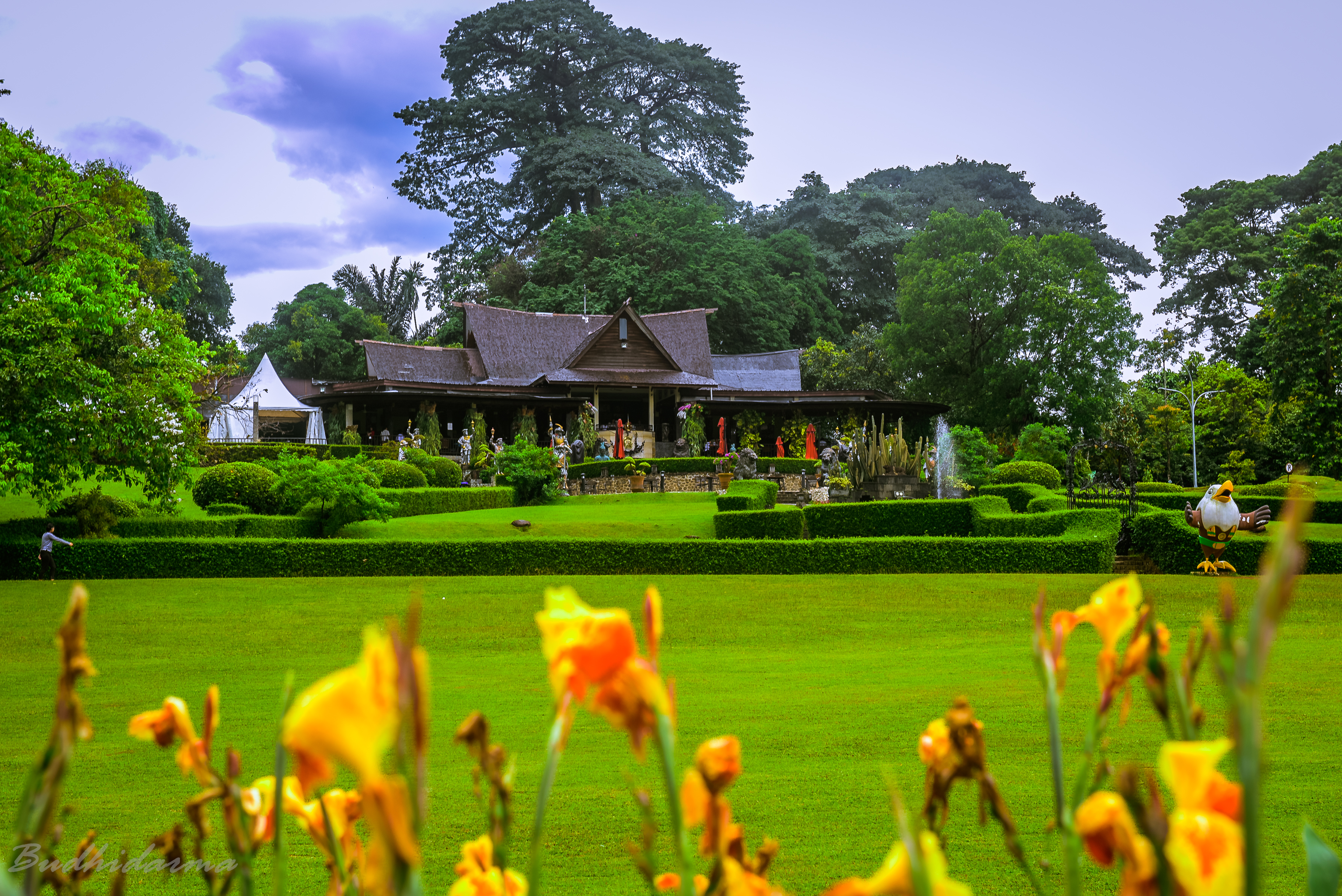 kebun raya bogor