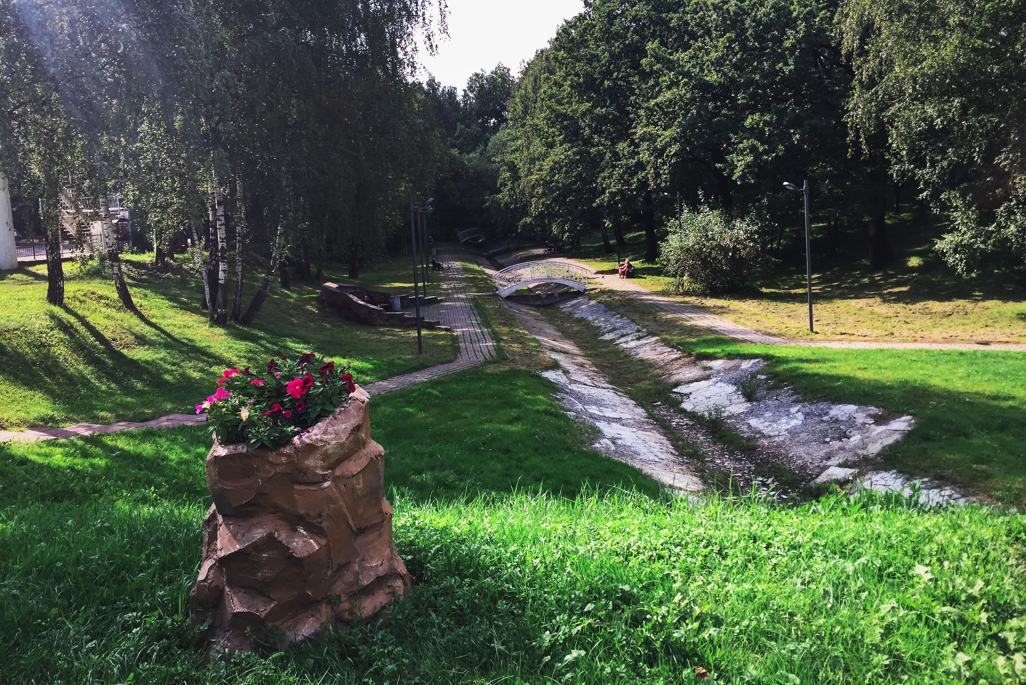 Фили лианозово. Парк Чермянка Алтуфьевский пруд. Лианозово (парк культуры и отдыха) лавочки. Лианозовский лесопарк. Лианозовский парк пруд.