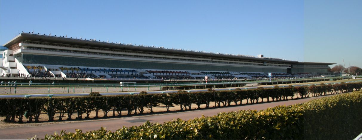 中山 競馬 ライブ