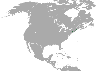 File:New England Cottontail area.png