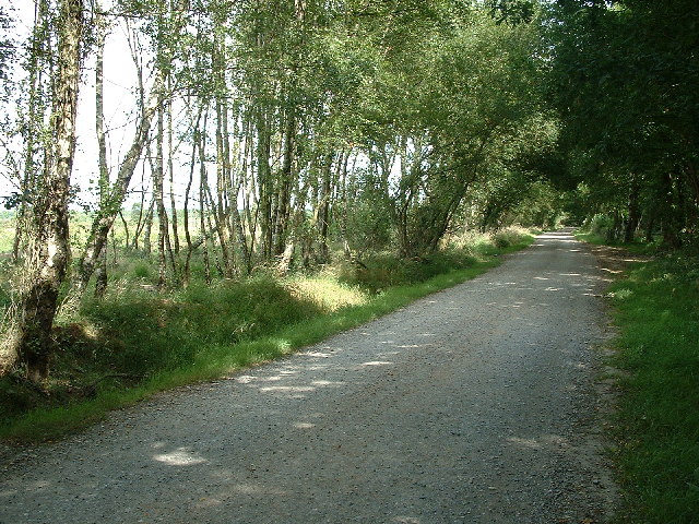 File:Newman's Lane, West Moors - geograph.org.uk - 28504.jpg