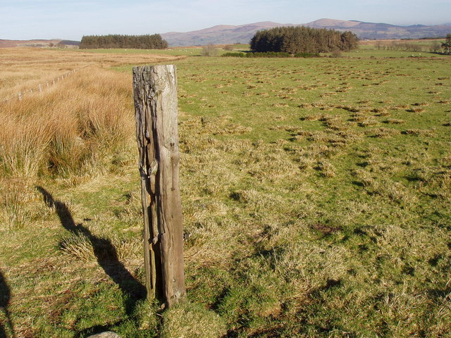 Old_fence_post_-_geograph.org.uk_-_68633