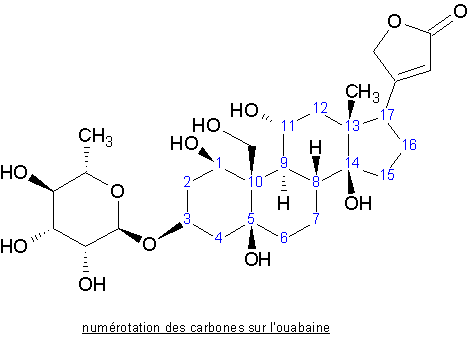 Ouabaine numéroté