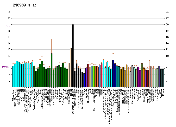 File:PBB GE HTR4 216939 s at fs.png