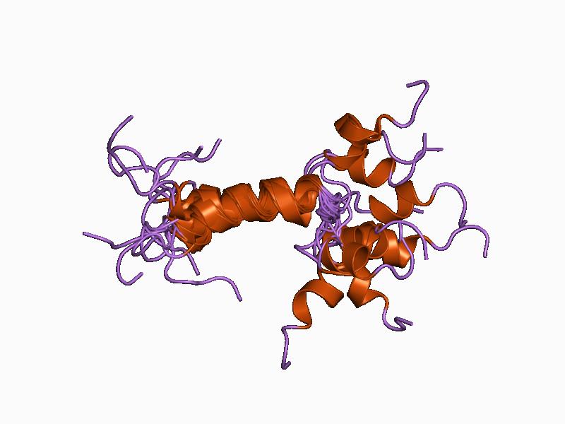 File:PDB 1bwx EBI.jpg