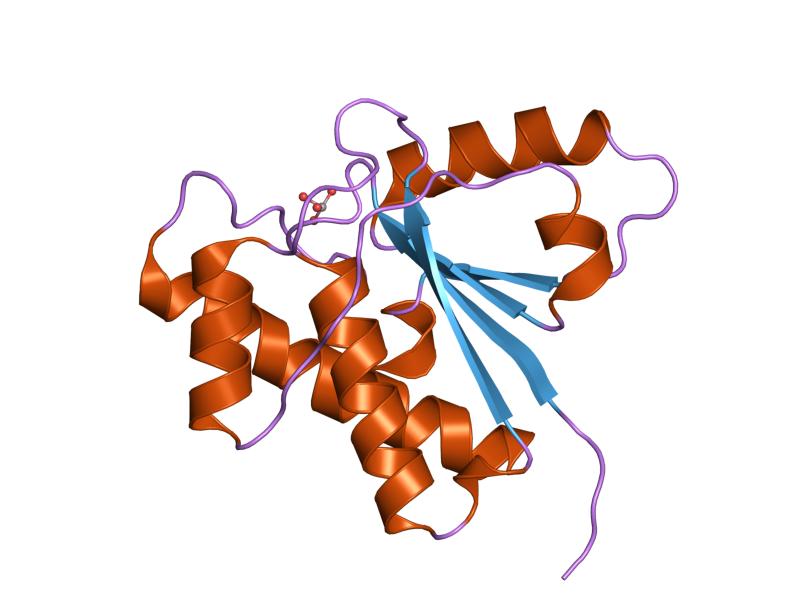 File:PDB 1z12 EBI.jpg