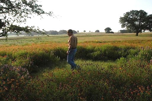 This photo, by a White House photographer, was taken at the Bush "spread" while Mr. Bush was still in office.