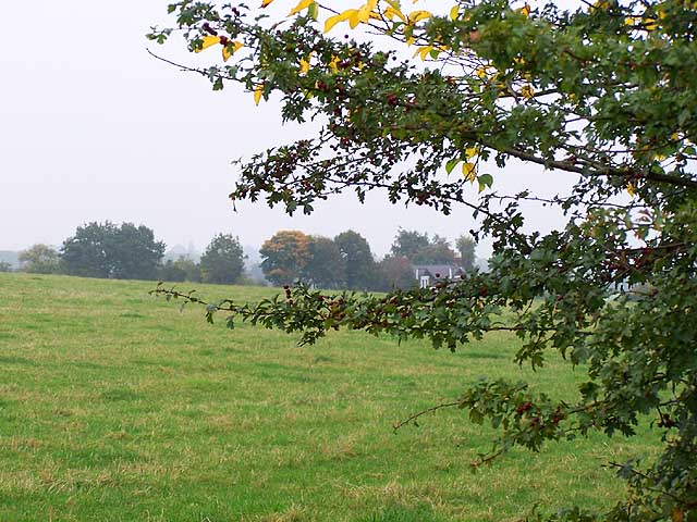 File:Prospect Farm - geograph.org.uk - 62216.jpg