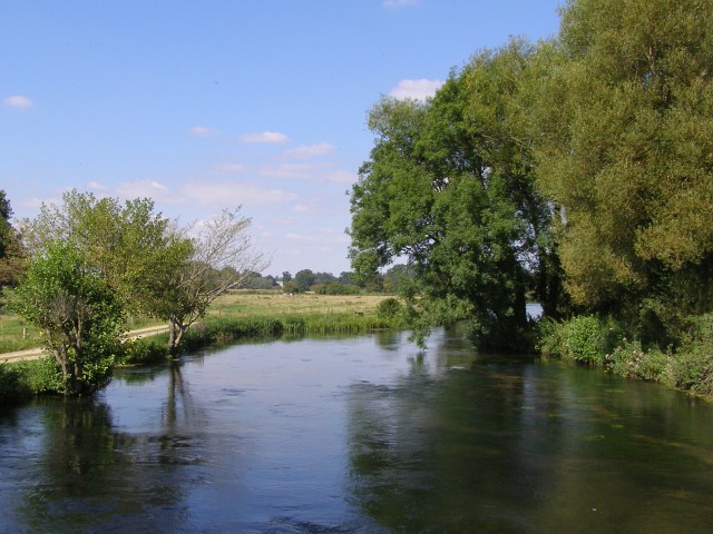 River Test in summer - geograph.org.uk - 537144