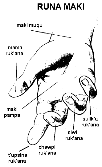 File:Runa maki.gif