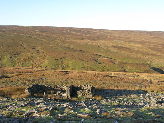 File:Sheepfold - geograph.org.uk - 608946.jpg