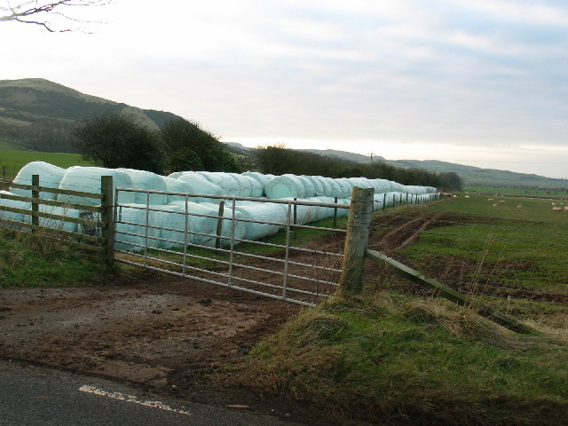 File:Silage bales on farmland B842 Southend road. - geograph.org.uk - 117259.jpg