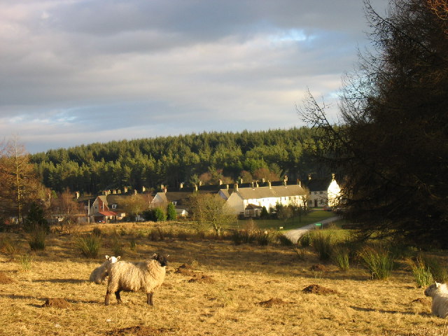 File:Stonehaugh, Wark Forest - geograph.org.uk - 119487.jpg