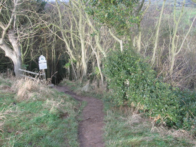 File:The Cleveland Way at Hayburn Wyke Nature Reserve - geograph.org.uk - 658648.jpg