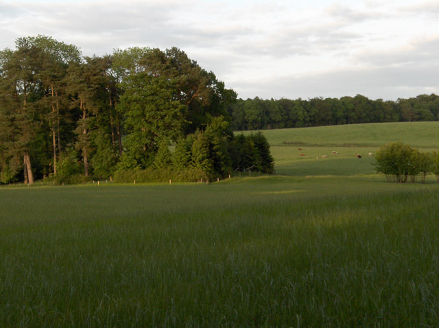 File:The Keir Estate - geograph.org.uk - 186723.jpg