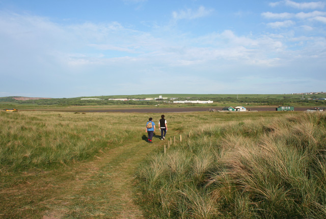 Track on Lowsy Point - geograph.org.uk - 850007