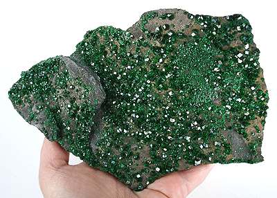  Uvarovite Locality: Saranovskii Mine (Saranovskoe), Saranovskaya (Sarany) Village, Gorozavodskii area, Permskaya Oblast', Middle Urals, Urals Region, Russia (Locality at mindat.org) Size: large cabinet, 18.3 x 13.1 x 2.0 cm UVAROVITE Garnet This large plate of the rare uvarovite garnet varietal is the largest and finest I personally know of or have seen. Since 1832 when they were found at this, the Type Locality for the species, this garnet has been the standard of excellence for a green garnet species. Named after Count Sergey Semeonovich Uvarov (1786-1855), Russian statesman and scholar, President of the Academy of St Petersburg (1818-1855) - according to MINDAT. For the collector, this is thus a historical specimen and a beauty. This plate is museum-sized, and rich in quality as well as having that size. Uvarovite crystals do not grow so large as other species of garnet, especially from this locality where most crystals are sub-mm in size and 2mm crystals are considered noteworthy. This specimen has crystals to a whopping 5.5 mm - DOZENS if not hundreds of them. Although there is some damage, it is relatively minor and lost amidst hundreds, literally, of bright and reflective pristine crystals on this plate. This specimen was in the Richard Kosnar collection since it came out of an old Russian collection in 2001. When I first saw it, my mouth dropped. I had no idea such a piece existed.