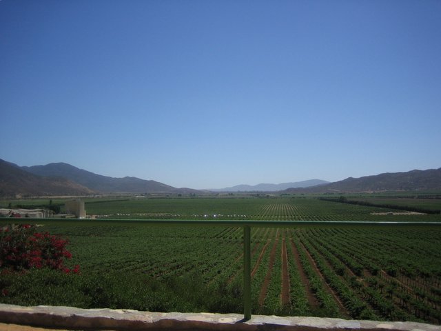 File:Valle de guadalupe.jpg